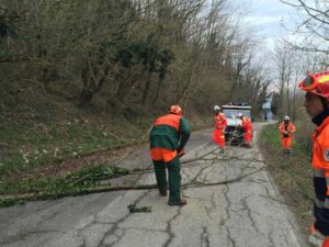 Persone Protezione Civile vestite di arancione che tagliano un ramo caduto sulla strada Protezione Civile